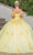 Dancing Queen 1739 - 3D Floral Applique Quinceanera Ballgown Ball Gowns