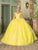 Dancing Queen 1775 - Sweetheart Floral Appliqued Ballgown Ball Gowns