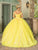 Dancing Queen 1775 - Sweetheart Floral Appliqued Ballgown Ball Gowns