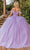 Dancing Queen 1829 - Feather Fringed Ballgown Ball Gowns