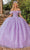 Dancing Queen 1829 - Feather Fringed Ballgown Ball Gowns XS / Lilac