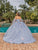 Dancing Queen 1837 - Floral Embellished Ballgown Ball Gowns