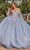 Dancing Queen 1837 - Floral Embellished Ballgown Ball Gowns XS / Silver