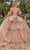 Dancing Queen 1877 - Butterfly Appliques Corset Back Ballgown Ball Gowns S / Gold