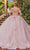 Dancing Queen 1888 - Illusion Corset Cap Sleeve Ballgown Quinceanera Dresses