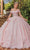 Dancing Queen 1888 - Illusion Corset Cap Sleeve Ballgown Quinceanera Dresses XS / Blush