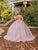 Dancing Queen 1888 - Illusion Corset Cap Sleeve Ballgown Special Occasion Dress