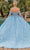 Dancing Queen 1890 - Appliqued Off Shoulder Ballgown Quinceanera Dresses