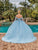 Dancing Queen 1890 - Appliqued Off Shoulder Ballgown Special Occasion Dress