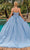 Dancing Queen 1891 - Sleeveless Fully Beaded Ballgown Quinceanera Dresses