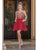 Dancing Queen - 3222 Embroidered V-neck A-line Cocktail Dress Homecoming Dresses XS / Burgundy