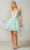 Dancing Queen 3350 - Butterfly Applique Cocktail Dress Special Occasion Dress XS / Sage