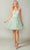 Dancing Queen 3369 - Embroidered Tulle Short Dress Special Occasion Dress XS / Sage