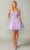 Dancing Queen 3373 - Tulle Embroidered Cocktail Dress Special Occasion Dress