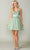 Dancing Queen 3374 - Sleeveless Corset Cocktail Dress Special Occasion Dress XS / Sage