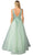 Dancing Queen 4430 - Embroidered Plunging V-Neck Ballgown Ball Gowns