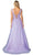 Dancing Queen 4450 - Illusion Sweetheart Notch Prom Gown Prom Dresses