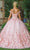 Dancing Queen - Floral Applique Ballgown 1569 - 1 pc Blush in Size XL Available CCSALE XL / Blush