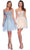 Dave & Johnny 11206 - Illusion Corset Embroidered Cocktail Dress Homecoming Dresses 00 / Ice Blue