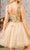 Elizabeth K GS3186 - Sweetheart A-Line Cocktail Dress Special Occasion Dress