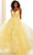 Ellie Wilde EW36203 - Floral Embroidered Sheer Corset Prom Dress Prom Dresses 00 / Lt Yellow