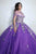 Eureka Fashion EK1003 - Embroidered Tulle Ballgown Special Occasion Dress