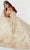 Fiesta Gowns 56463 - Arched Detail Glittered Ball Gown Quinceanera Dresses