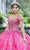 Fiesta Gowns 56463 - Arched Detail Glittered Ball Gown Quinceanera Dresses