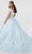 Fiesta Gowns 56464 - Feathered Off Shoulder Ball Gown Ball Gowns