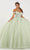 Fiesta Gowns 56490 - 3D Beaded Off-Shoulder Ballgown Ball Gowns 0 / Meadow