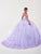 Fiesta Gowns 56496 - Embroidered Corset Off-Shoulder Ballgown Special Occasion Dress