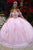 GLS by Gloria GL3502 - Lace Embellished Ballgown Special Occasion Dress