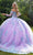 GLS by Gloria GL3503 - Long Sleeve Applique Ballgown Special Occasion Dress