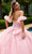 GLS by Gloria GL3505 - Floral Corset Ballgown Special Occasion Dress