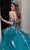 GLS by Gloria GL3522 - Lace Applique Mesh Ballgown Special Occasion Dress