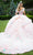 GLS by Gloria GL3554 - Multicolor Flower Applique V-Neck Ballgown Special Occasion Dress