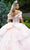 GLS by Gloria GL3554 - Multicolor Flower Applique V-Neck Ballgown Special Occasion Dress