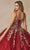 Juliet Dresses 1442 - V-Neck Butterfly Appliqued Quinceanera Gown Ball Gowns