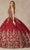 Juliet Dresses 1442 - V-Neck Butterfly Appliqued Quinceanera Gown Ball Gowns