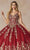 Juliet Dresses 1442 - V-Neck Butterfly Appliqued Quinceanera Gown Ball Gowns