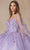 Juliet Dresses 1442 - V-Neck Butterfly Appliqued Quinceanera Gown Ball Gowns