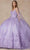 Juliet Dresses 1442 - V-Neck Butterfly Appliqued Quinceanera Gown Ball Gowns