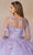 Juliet Dresses 1442 - V-Neck Butterfly Appliqued Quinceanera Gown Ball Gowns