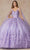 Juliet Dresses 1442 - V-Neck Butterfly Appliqued Quinceanera Gown Ball Gowns XS / Lilac