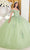 Ladivine 15710 - Sweetheart Neck Floral Applique Embellished Ballgown Ball Gowns XL / Greenery