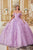 Ladivine 15713 - 3D Floral Applique Embellished Sweetheart Ballgown Ball Gowns