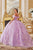 Ladivine 15713 - 3D Floral Applique Embellished Sweetheart Ballgown Ball Gowns