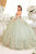 Ladivine 15716 - Sweetheart Neck Floral Detailed Ballgown Ball Gowns