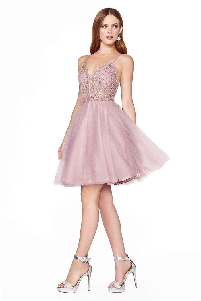 Ladivine CD0148 - Dual Strap A-Line Party Dress Party Dresses M / Blush