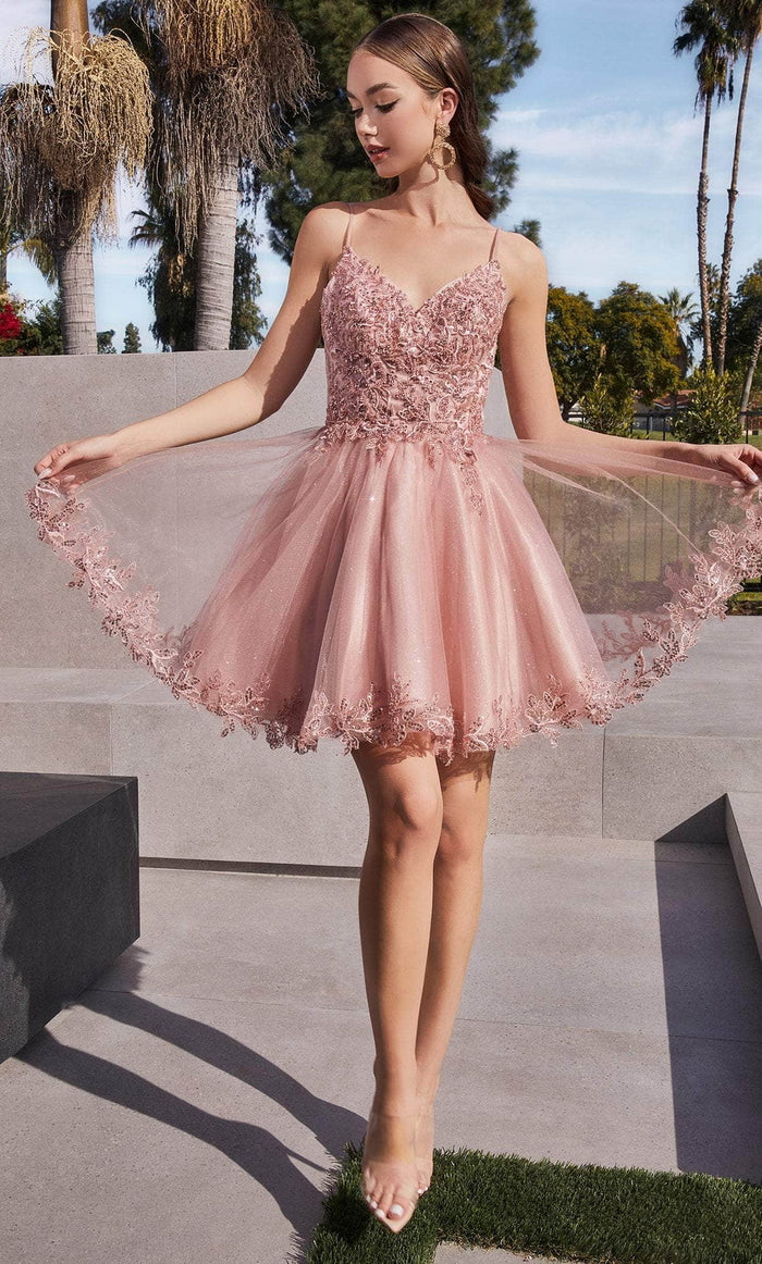 Ladivine CD0213 - Embroidered A-Line Cocktail Dress Cocktail Dresses XXS / Blush